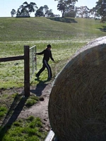 SanTom farmsitting