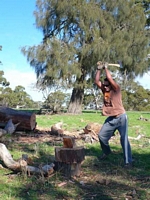 SanTom farmsitting