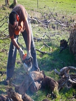 SanTom farmsitting