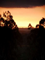 Gumeracha views