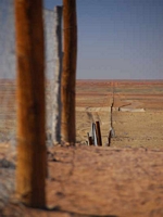 dog fence