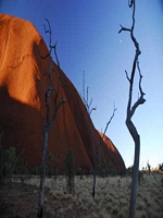 Uluru-Kata Tjuta NP 