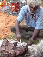 Bush tucker