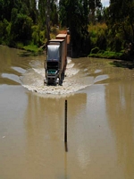 Kakadu Danger