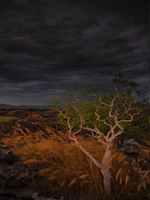 Kakadu Ubirr Sunset 