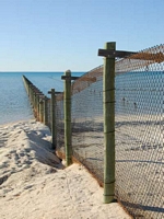 Shark Bay
