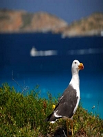 Esperancebeaches