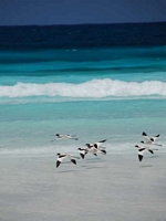 Lucky Bay