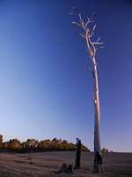 Margaret River