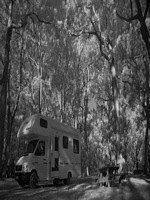 Portland Camping