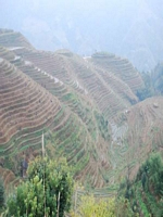 in Reisterrassen bei Ping an 