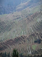 in Reisterrassen bei Ping an 