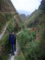 in Reisterrassen bei Ping an 