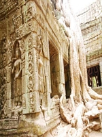 Ankor Wat