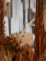 Mulberry papierfabrik