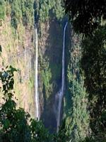Tad Fane Resort