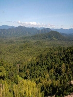  almost Vietnam