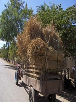 Fahrt auf Bolaven Plateau