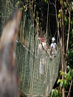 Tamana Negara Canopywalk 
