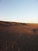 Gobi Sunset