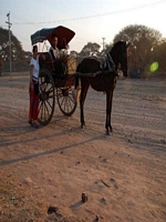 Baganexcursion