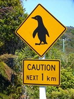 Pinguincountry