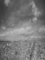 Kiwi IR