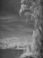 Kiwi IR