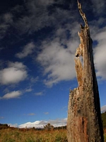  Ruapehu view