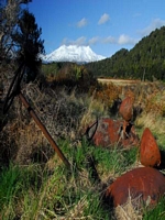  Ruapehu view