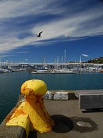 Wellington Harbour