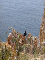  Tom on the rocks