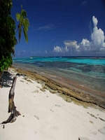Islandlife