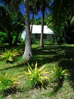 Islandlife