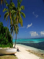 Islandlife