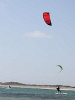 Tom new hobby