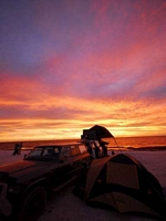 Shark Bay impressions 