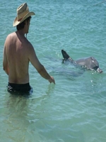 Monkey Mia Dolphins