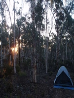 first night in the bush for Isa