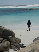 Cape Arid walkabout