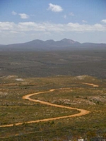 Fitzgerald NP